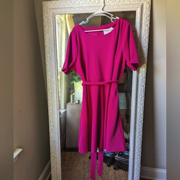 Beauticurve x Lane Bryant Hot Pink Knee Length Short Sleeve Dress size 20 - Picture 2 of 6